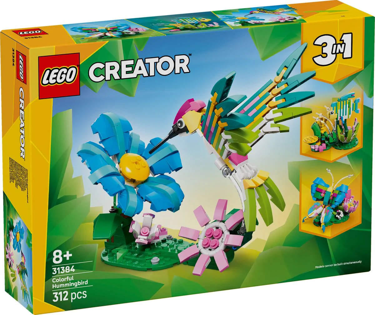 Creator Kolibri - Image 2