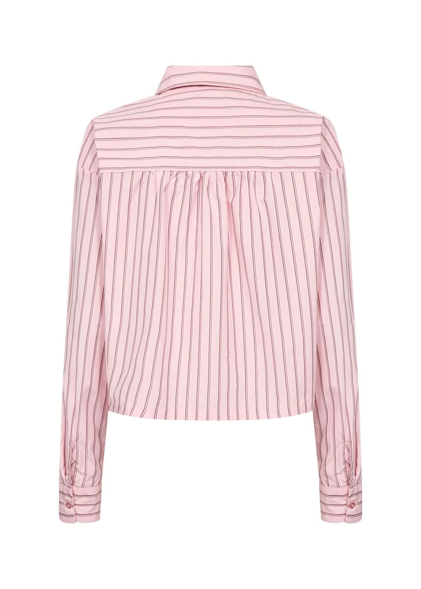 SC-BARDOT 1 - Image 2