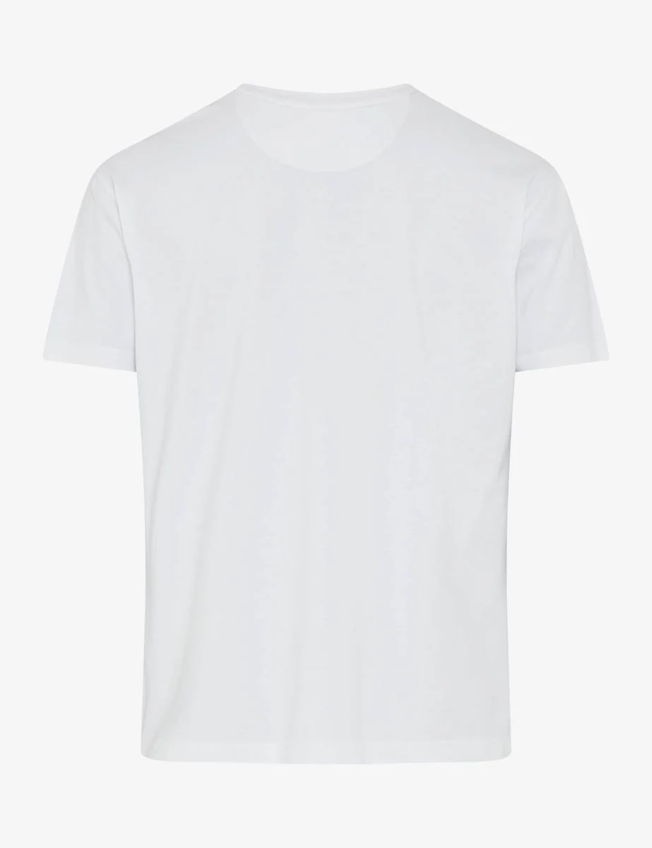 STYLE.TED - Image 2