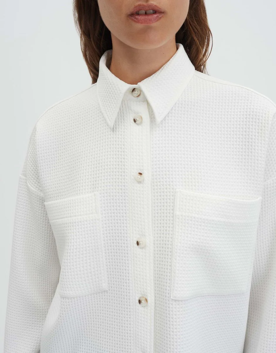 Zarpa bold - Image 4